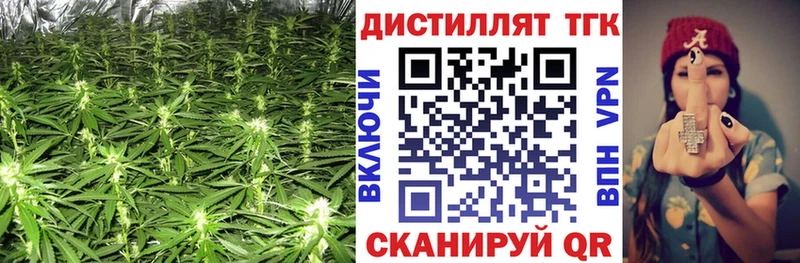 OMG ONION  Окуловка  ТГК вейп 